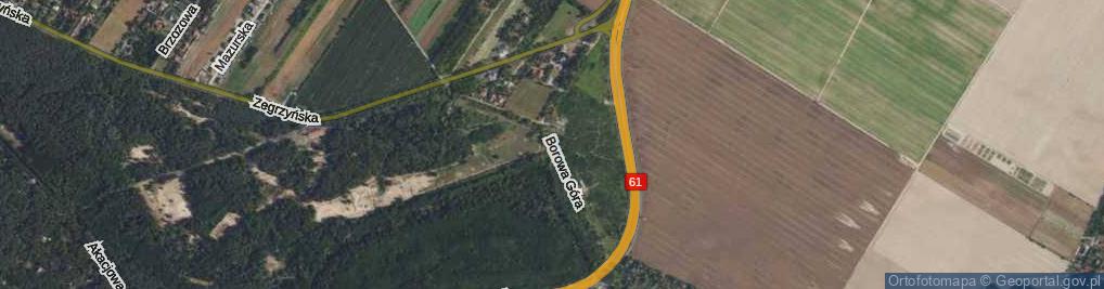 Zdjęcie satelitarne Borowa Góra ul.